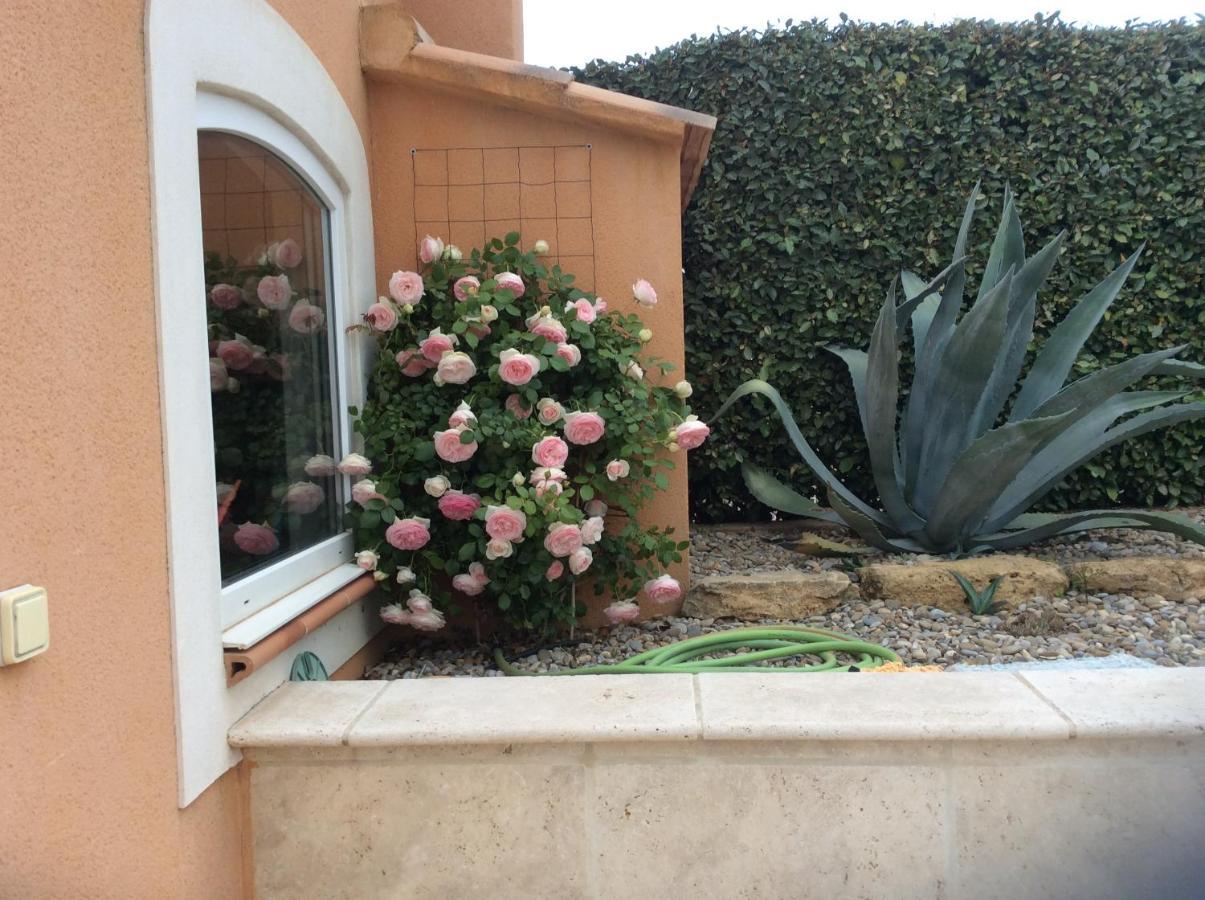 Les Lavandes Bed and Breakfast Alleins Esterno foto