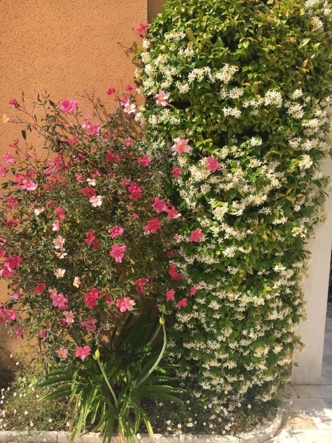 Les Lavandes Bed and Breakfast Alleins Esterno foto