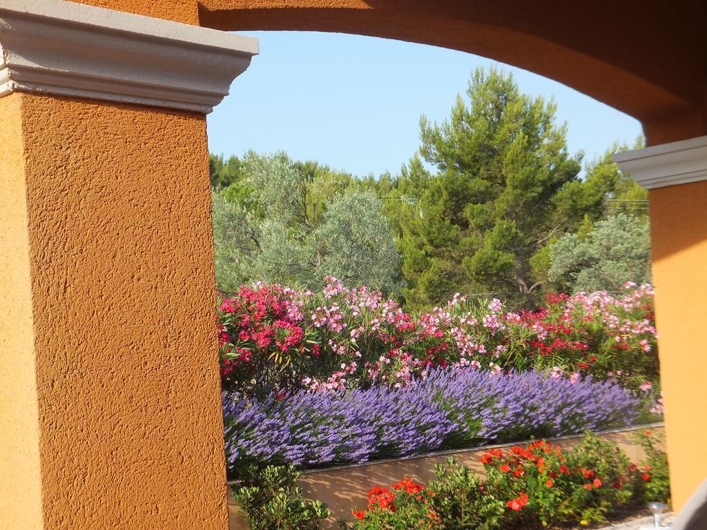 Les Lavandes Bed and Breakfast Alleins Esterno foto