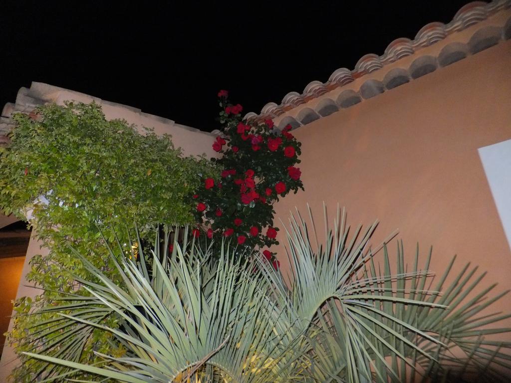 Les Lavandes Bed and Breakfast Alleins Esterno foto